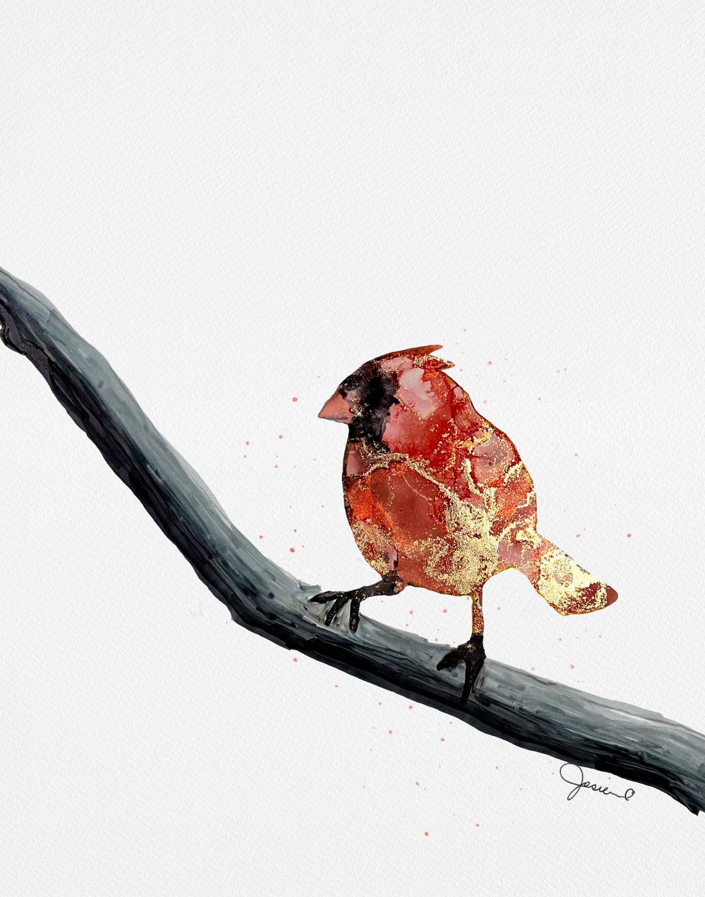 Red Cardinal