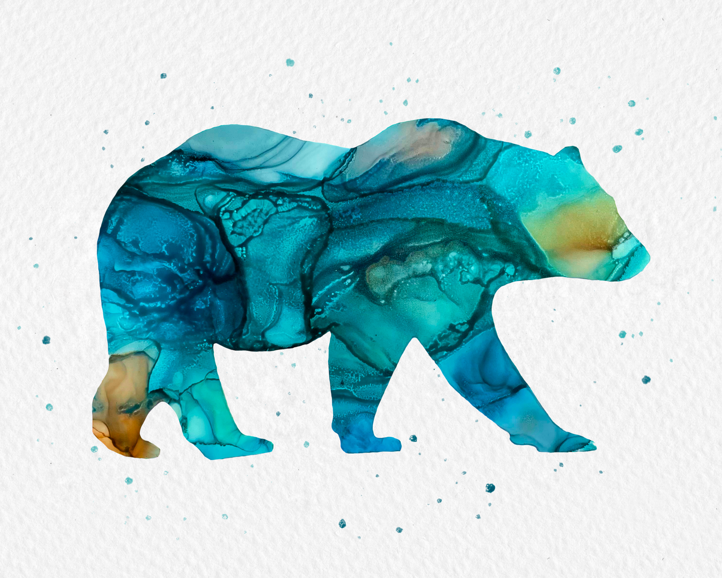 Bear Boreal
