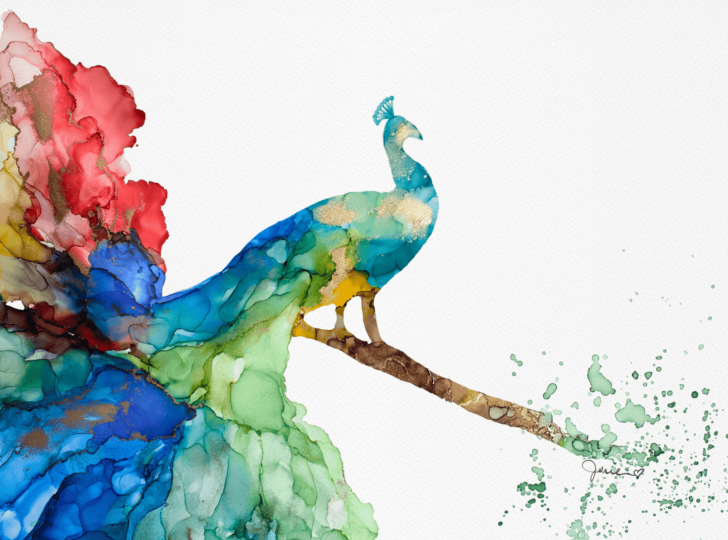 Peacock - Fine Art Prints