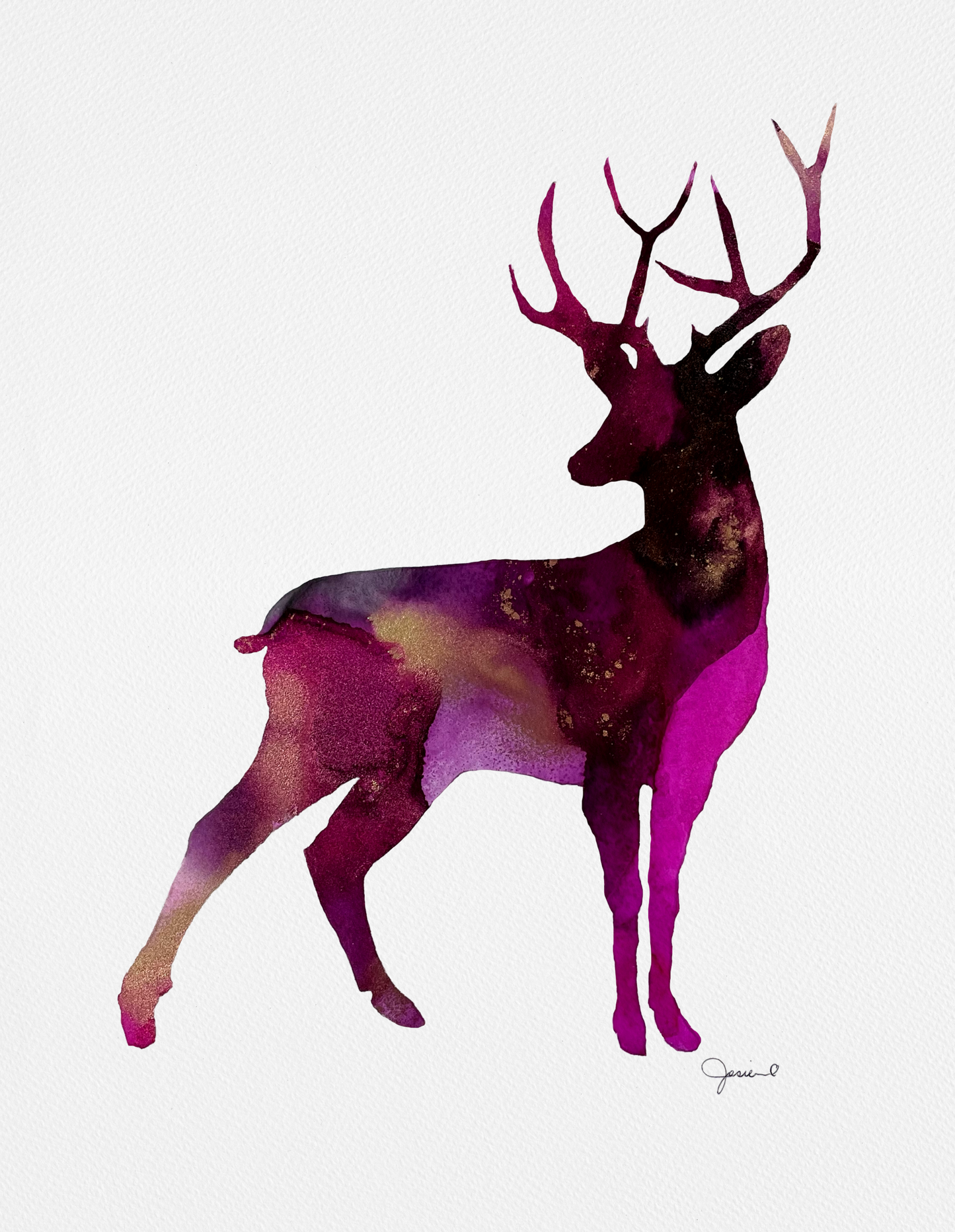 Stag