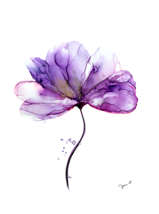 Quiet Grace