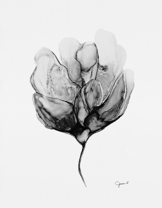 Fleur D'artichaut