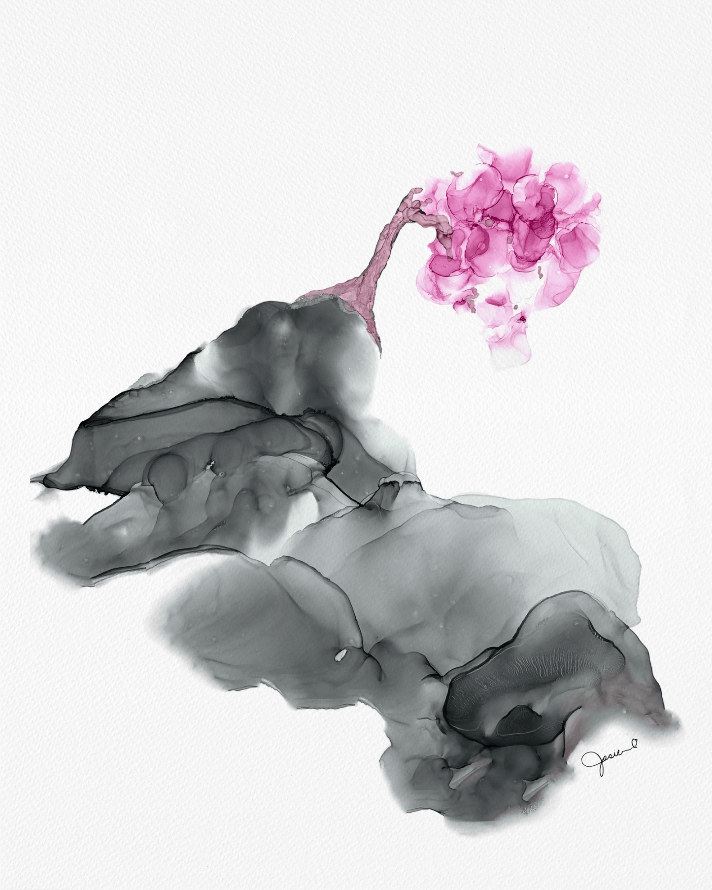 NEW! Where Roots Dream - Fine Art Prints